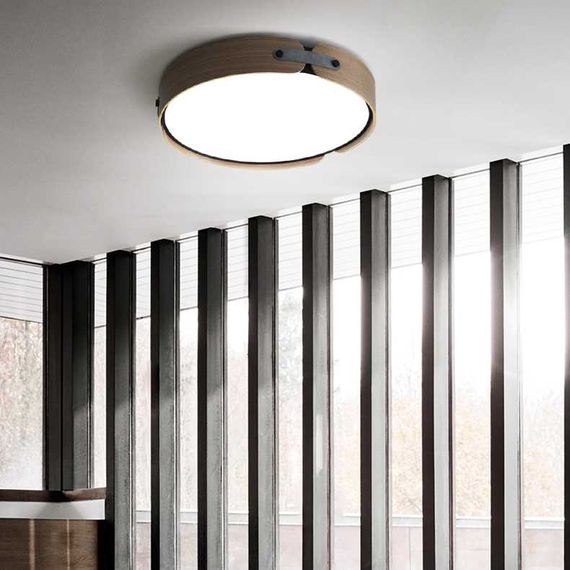 Потолочный светильник Imperium Loft Range 101959-26