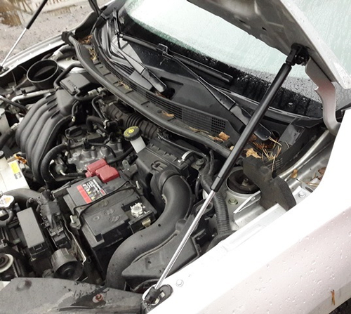 Упор (амортизатор) капота для Nissan Sentra B17 (2014-2019) Autoinnovation.01-11