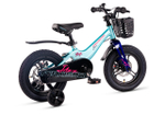 Maxiscoo JAZZ Pro 14'' (2025)