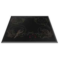 Электрическая панель Hansa BHC66500