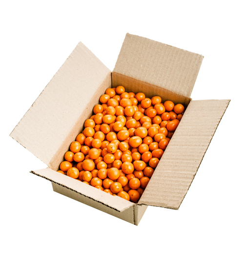 Шишка сосновая в белом шоколаде с Облепихой / гофрокороб / 1 кг / LARCH