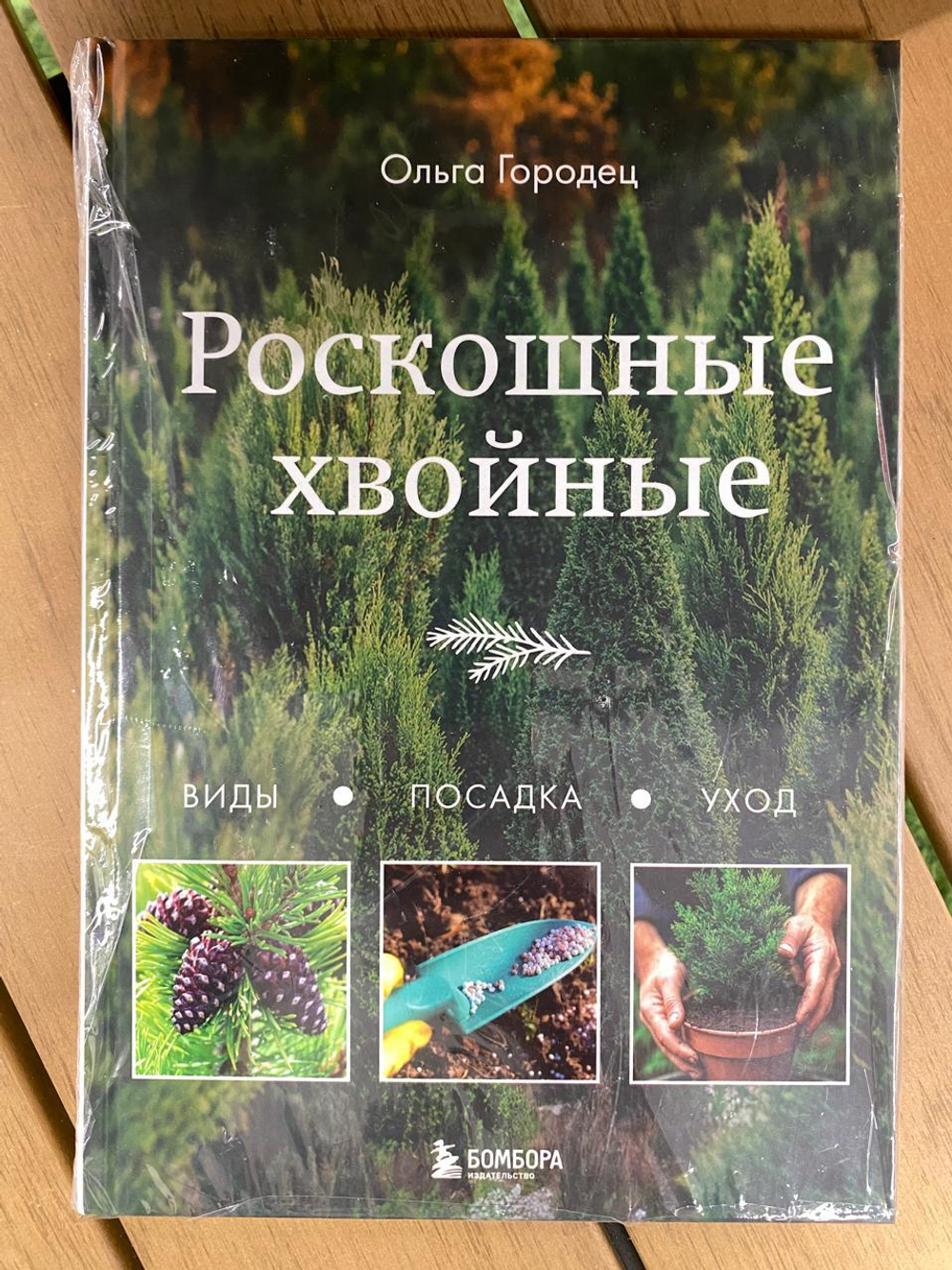 Роскошные хвойные. Виды, посадка, уход