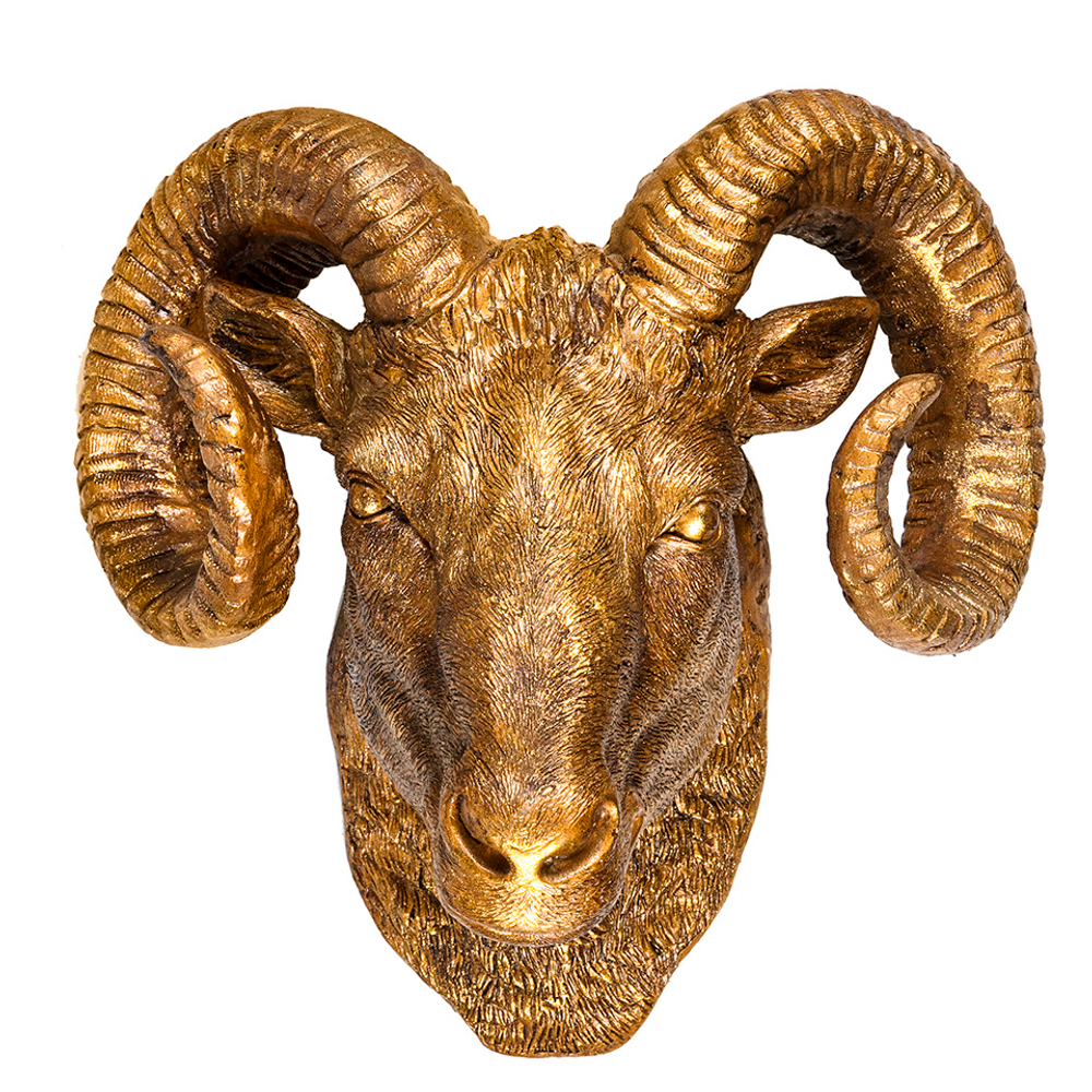 Голова барана декоративная Evergreen Нидерланды вид спереди