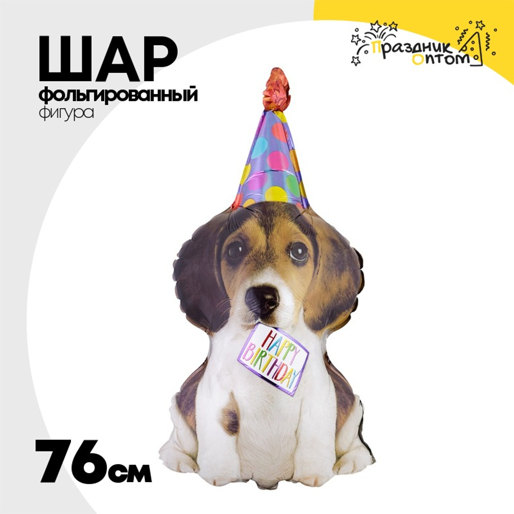 Шар Фольгированный Собака щенок в колпаке (Серый)