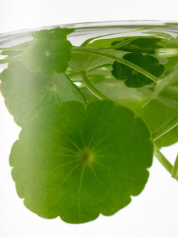 Патчи от прыщей Purito Wonder Releaf Centella Spot Patch