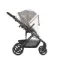 Коляска ANEX Modu 2 в 1 Rooty