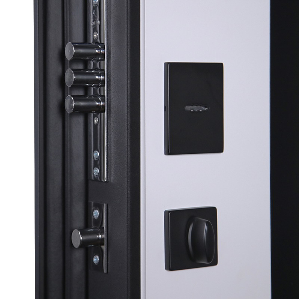 Стальная дверь "Гавана" (биометрический замок). Заказная модель.