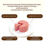 Wanpy Dog Консервы для собак из говядины, 375 г