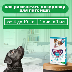 Капли от блох, клещей, вшей, власоедов, а так же кровососущих мух и комаров для собак от 4-10 кг Атакса (KRKA), 1 пипетка Имидаклоприд/Перметрин