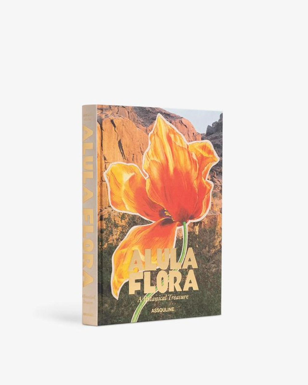 Книга Assouline AlUla Flora в твердом переплете