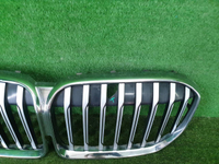 Решетка радиатора BMW 7er G11 G12 (2019-2022)