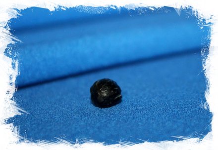 Жемчужина Модиолуса филиппинского (Pearl of Modiolus phillipinarum)