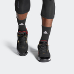 Кроссовки Adidas Spiritain 2000 Gtx