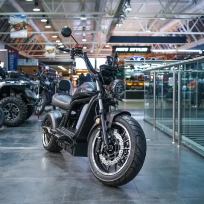 ECO Black LION E3000 Premium Chopper