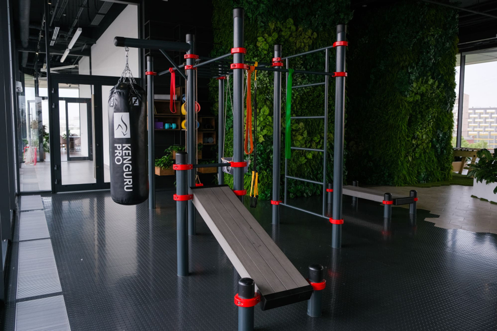 Воркаут-комплекс: рукоход, шведская стенка и 2 турника - Певек