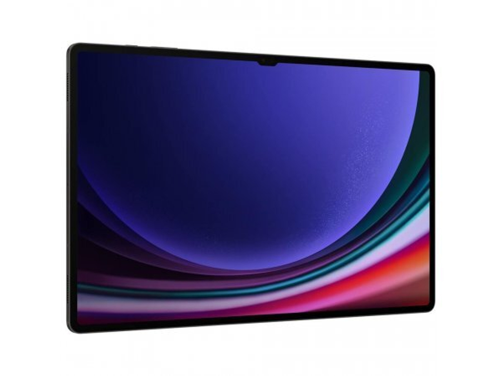 Планшет Samsung Galaxy Tab S9 Ultra SM-X910 12/512GB Gray