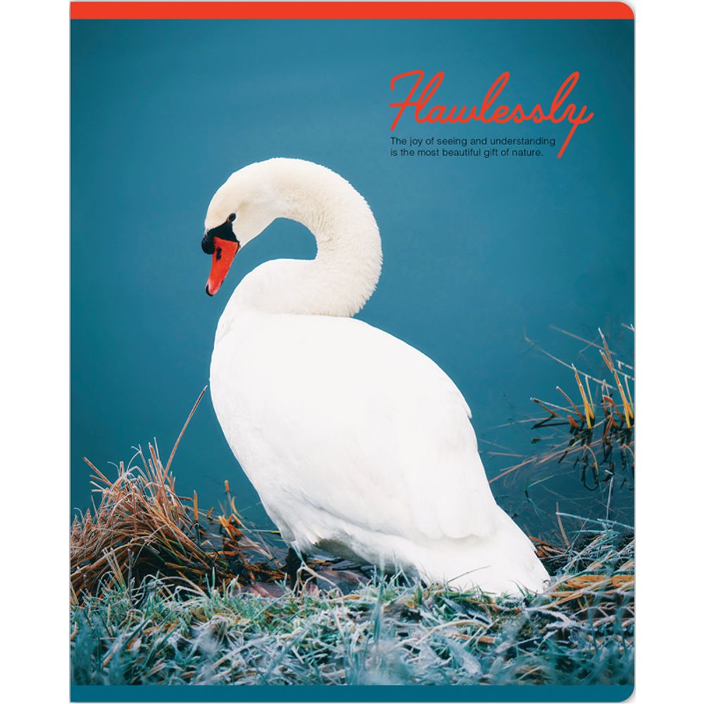 Тетрадь 48л, А5, клетка, Greenwich Line Gift of nature, матовая ламинация