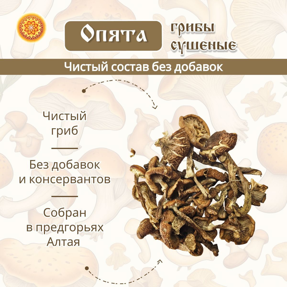 Грибы сушеные опята.