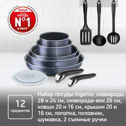 Набор посуды Tefal Ingenio Twinkle Grey 12 предметов 24/28/26/16/20/16 см 04180890