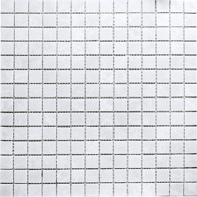 Мозаика White Polished (20x20 (JMST037))
