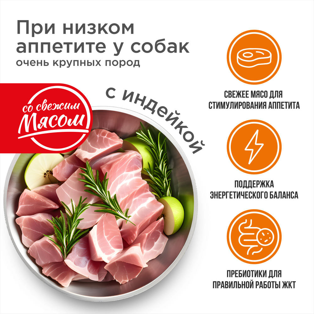 Корм сухой для взрослых собак очень крупных пород, премиум полнорационный комплекс, для собак с низким аппетитом, с индейкой, 2,5 кг, QUATTRO