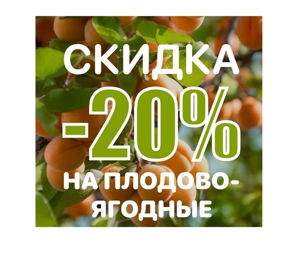 РАСПРОДАЖА ПЛОДОВО-ЯГОДНЫХ КУЛЬТУР! СКИДКА -20% НА ВСЁ 🤩🍒