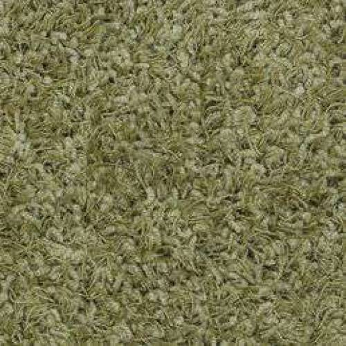 Ковровое покрытие Shaw Floors Super Chic 344