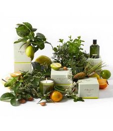 Аромадиффузор Цитрусовые сады, Christian Tortu