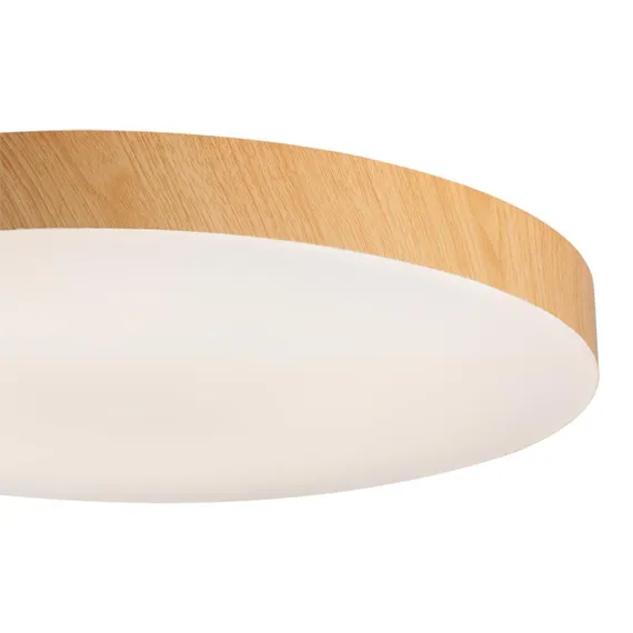 7761/24L MITRA LED SN 107 Светильник пластик/белый/под дерево LED 24Вт 4000K D300 IP54 GAMMA