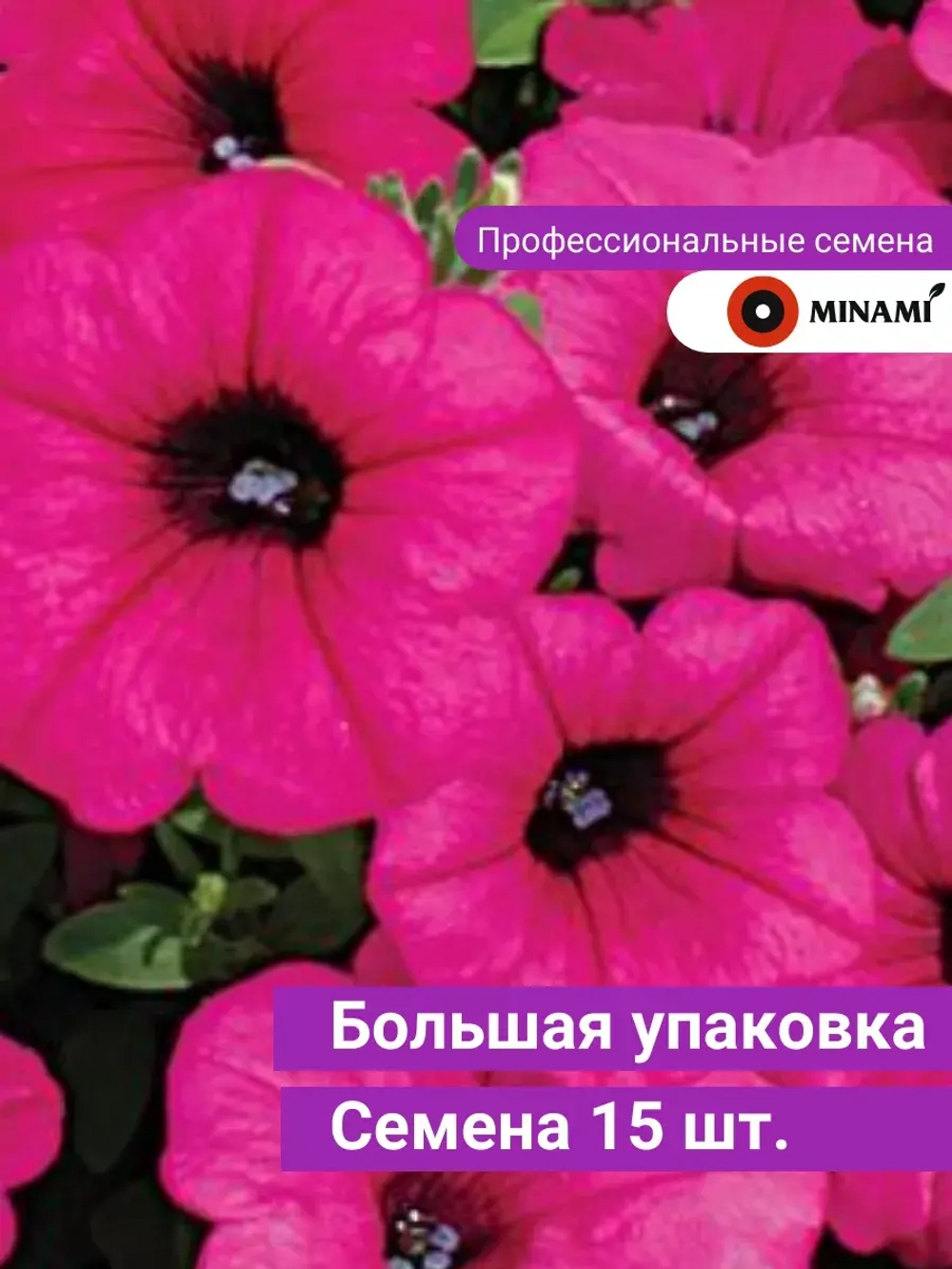 Петуния Парпл F1 Вельвет ампельная семена 15шт