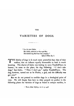 The varieties of dogs, as they are found in old sculptures, pictures, engravings, and books | Philbert Charles Berjeau