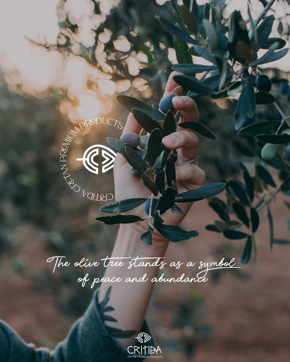 Оливковое масло Critida Morеsca Supеrrior Catеgory, 0,5 л, Греция