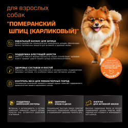 Корм сухой для взрослых собак породы Померанский шпиц (карликовый), с индейкой, 800 гр, QUATTRO