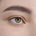 Гель-тинт для бровей LuxVisage Brow Tint 24h waterproof 5 гр