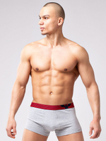 Мужские укороченные боксеры из мягкого хлопкового трикотажа (Размер: M) (Цвет: серый)