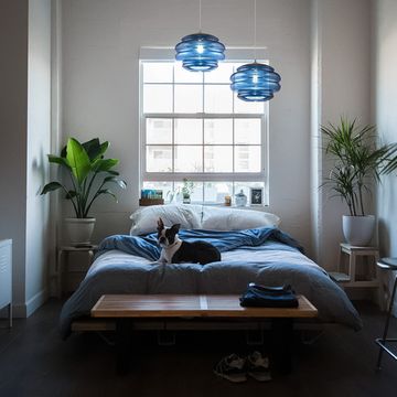 Подвесной светильник Maytoni P078PL-01BL