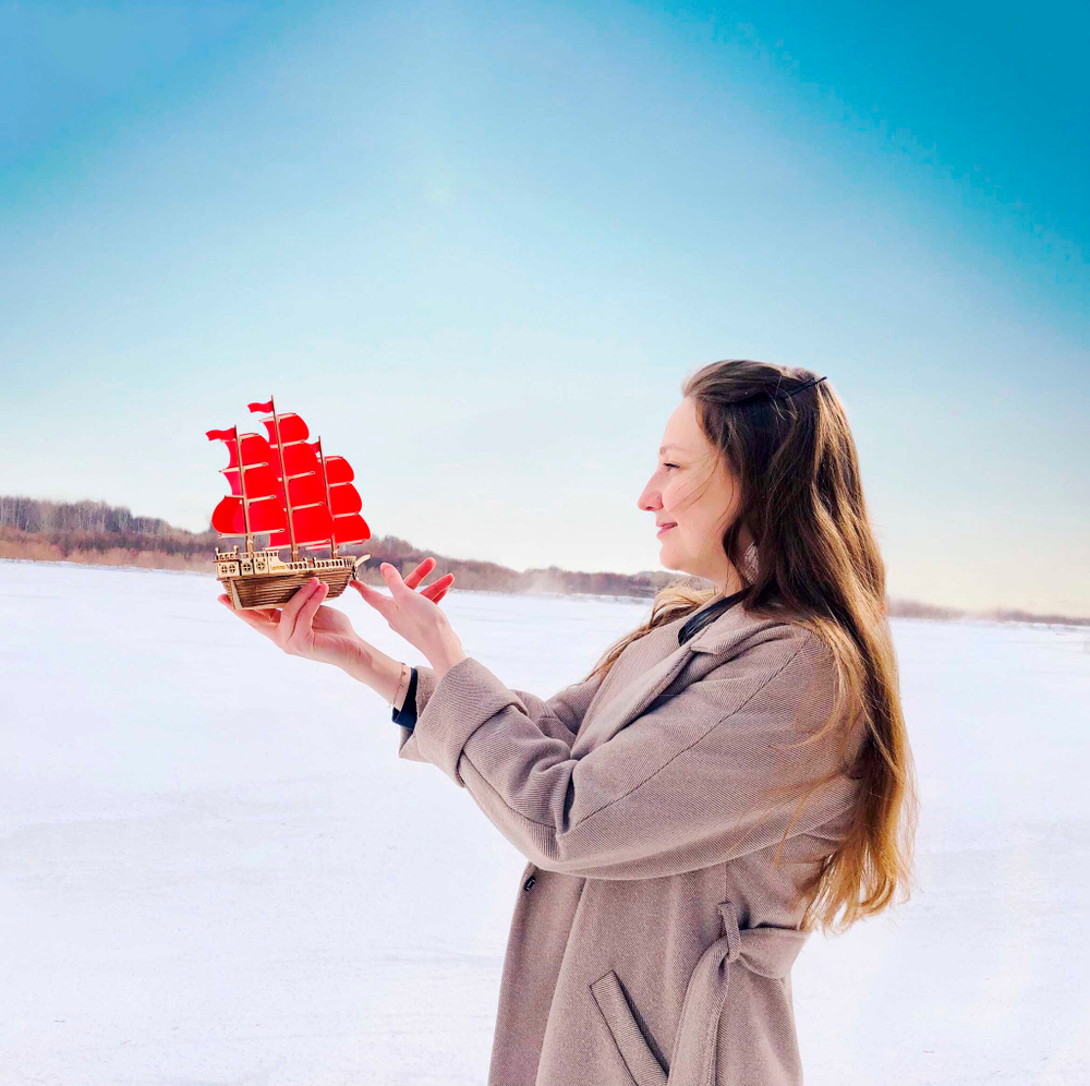 Деревянный конструктор Корабль ЛАМАР (Lemmo)