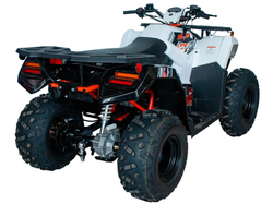 Квадрицикл KAYO AU300 EFI (белый пластик 2024 г.) (ПТС)