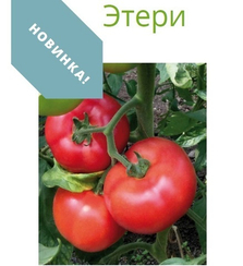 ЭТЕРИ F1 семена томата (Seminis | Alexagro)
