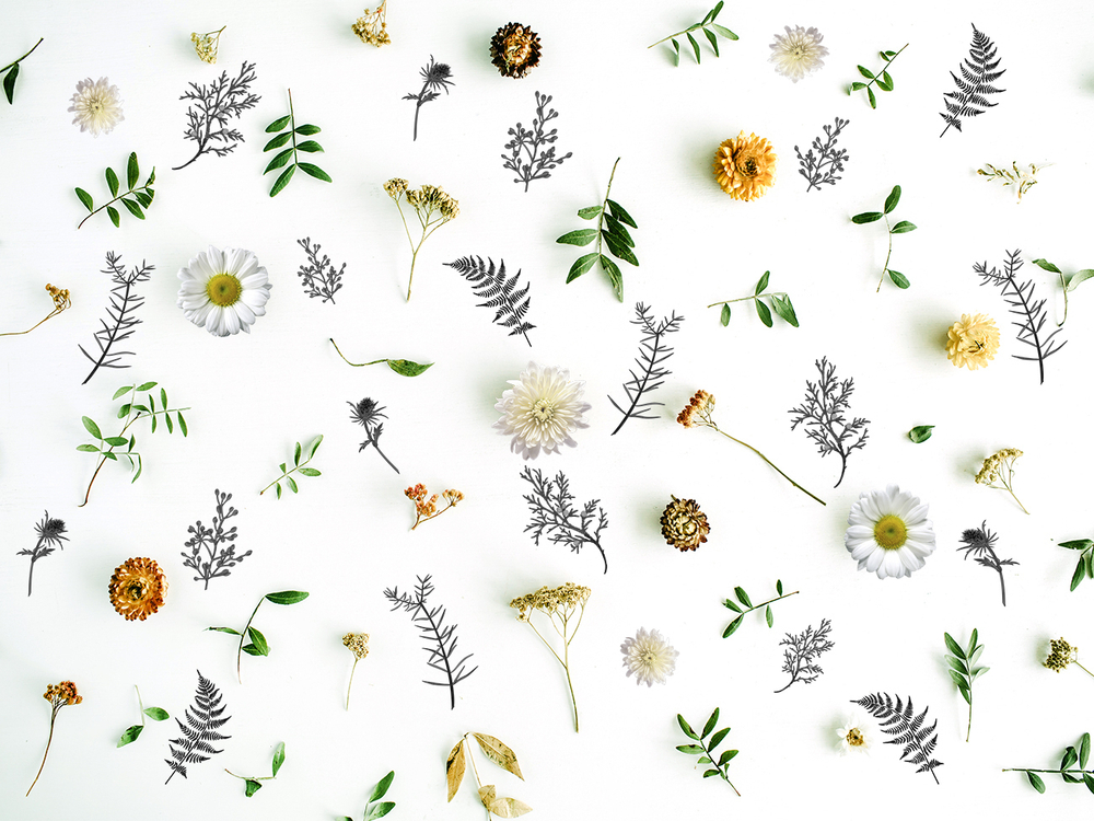 Коллекция GREENDAY 22