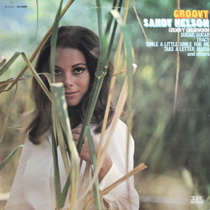 Sandy Nelson / Groovy (LP)