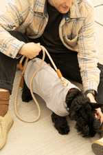 Попона "Пони-попони" светло-серая