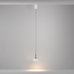 Светильник подвесной светодиодный Maytoni   P102PL-12W3K-W