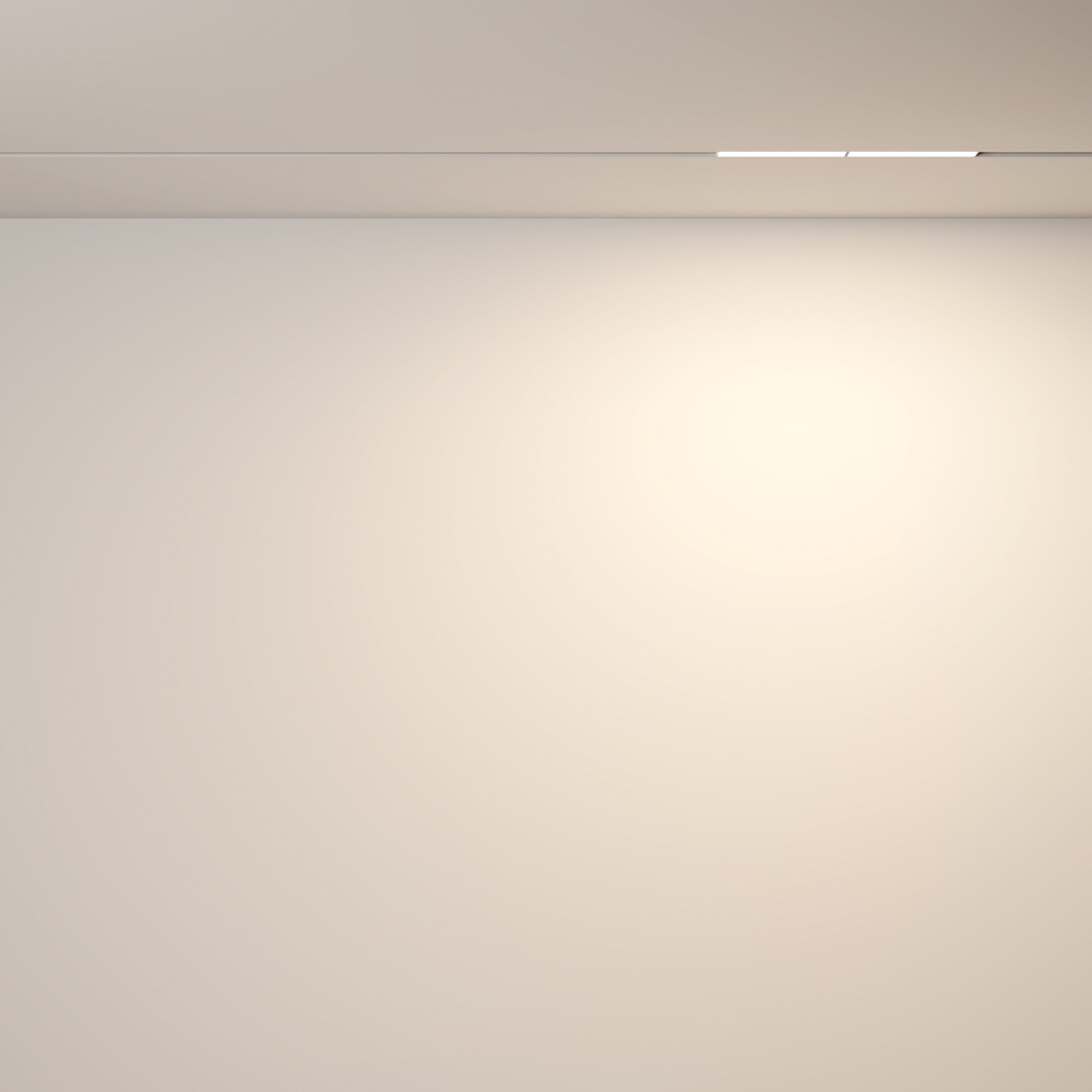 Магнитный трековый светильник Maytoni Parete TR106-2-12W3K-W