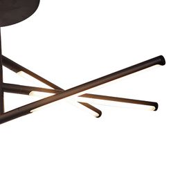 6828 Потолочный светильник TORCH