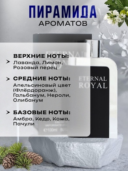 Туалетная вода мужская Eternal Royal, 100 мл