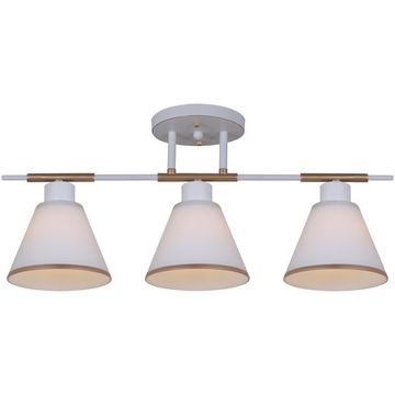 07594-0.3-03 WG светильник потолочный