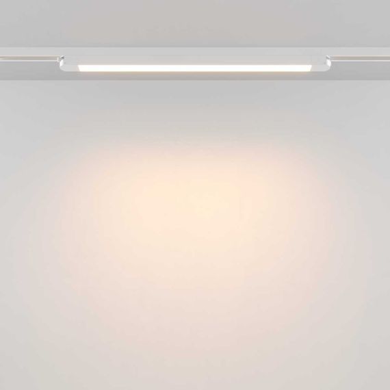 Трековый светильник Maytoni Technical TR000-1-24W3K-W_1