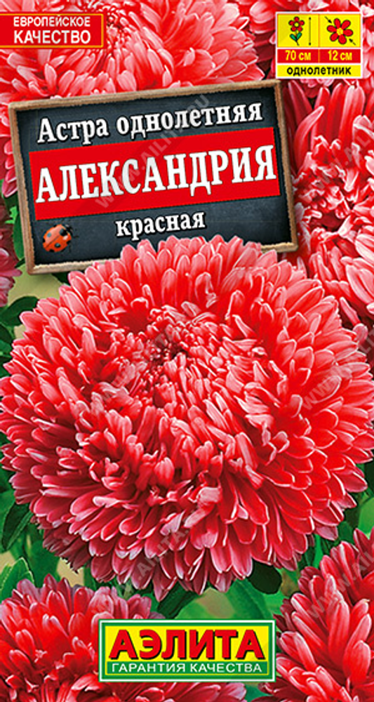 Астра Александрия красная 0,1г Ц Аэлита