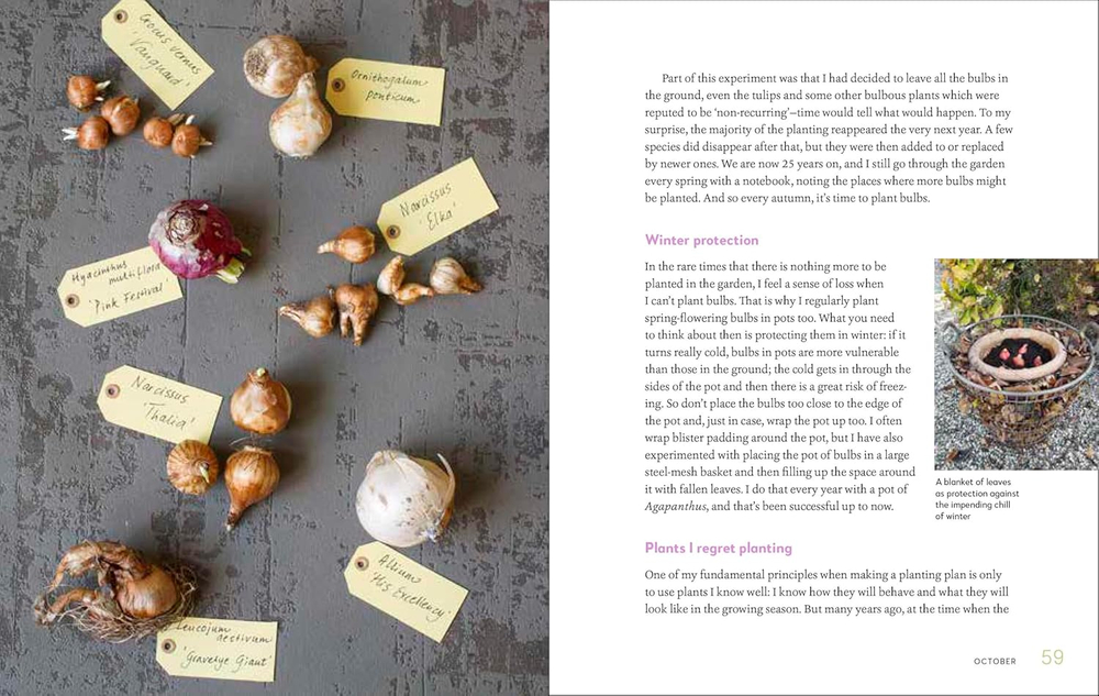 My Garden: A Year of Design and Experimentation